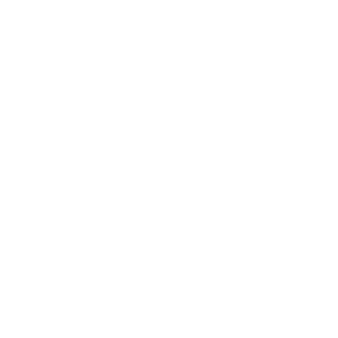 Cart Icon